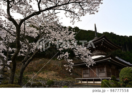 春の丹波篠山 春の丹波篠山 98777558