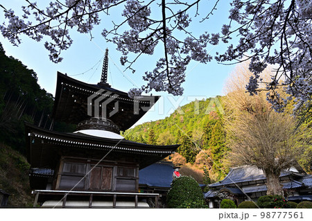 春の丹波篠山 98777561