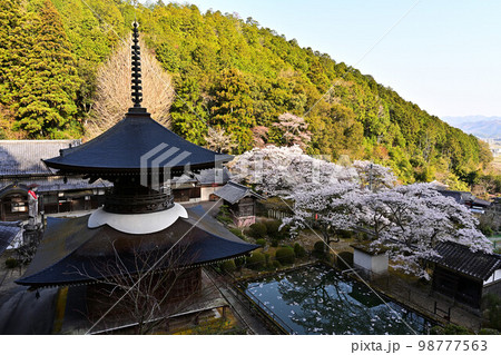春の丹波篠山 春の丹波篠山 98777563