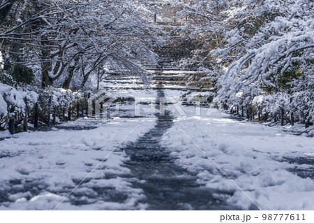 京都嵐山・二尊院 紅葉の馬場の雪景色 京都嵐山・二尊院 紅葉の馬場の雪景色 98777611
