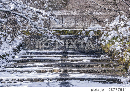 京都嵐山・二尊院 紅葉の馬場の雪景色 京都嵐山・二尊院 紅葉の馬場の雪景色 98777614