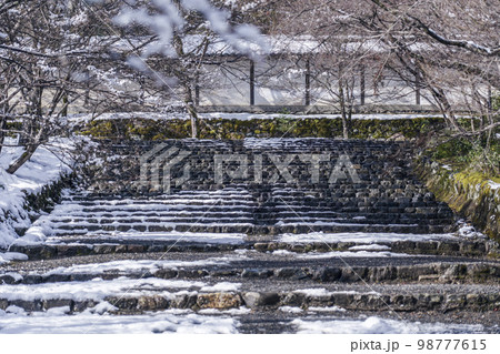 京都嵐山・二尊院 紅葉の馬場の雪景色 京都嵐山・二尊院 紅葉の馬場の雪景色 98777615