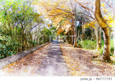秋の風景　タイワンフーの小道 98777745