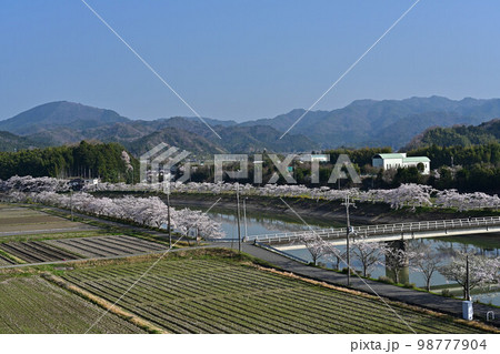 春の丹波篠山 98777904