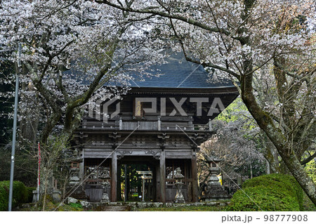 春の文保寺 98777908