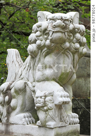 神社の社前に立つ狛犬 98778014