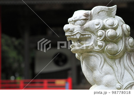 神社の社前に立つ狛犬 98778018