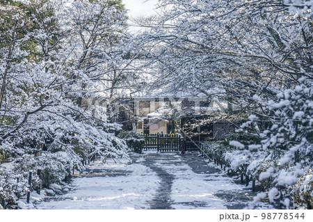 京都嵐山・二尊院 紅葉の馬場の雪景色 京都嵐山・二尊院 紅葉の馬場の雪景色 98778544