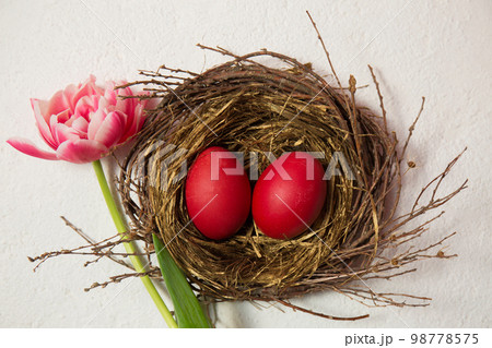 A nest with eggs is decorated with on a white background A nest with eggs is decorated with on a white background 98778575