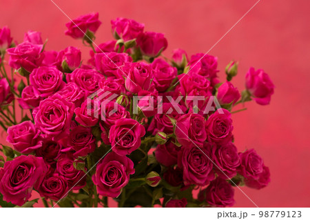 A bouquet of pink roses on a pink background 98779123