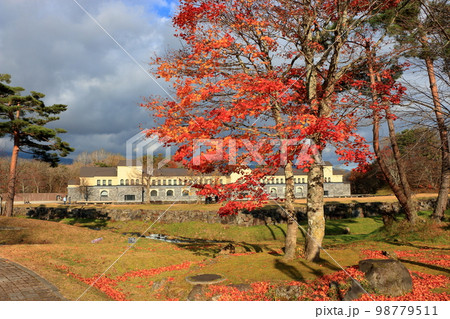 The Morohashi Museum of modern art featuring Salvador Dali in Urabandai, Fukushima in northern Japan 98779511