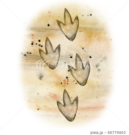 Watercolor dinosaur footprints fossils on sand. Hand drawn predator tracks on yellow beige background 98779803