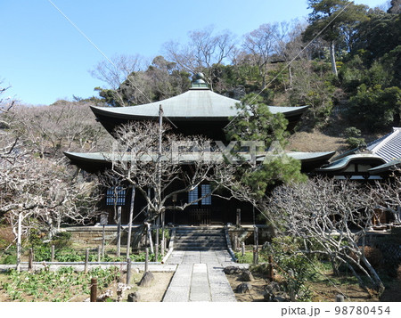 鎌倉市の瑞泉寺（本堂） 98780454