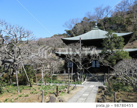 鎌倉市の瑞泉寺（本堂） 98780455