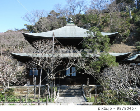 鎌倉市の瑞泉寺(本堂) 鎌倉市の瑞泉寺(本堂) 98780457