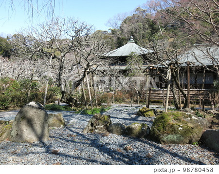 鎌倉市の瑞泉寺(前庭・本堂) 鎌倉市の瑞泉寺(前庭・本堂) 98780458