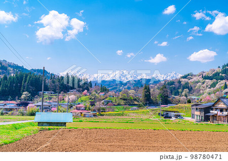 【春素材】里山の春・二反田の桜【長野県】 【春素材】里山の春・二反田の桜【長野県】 98780471