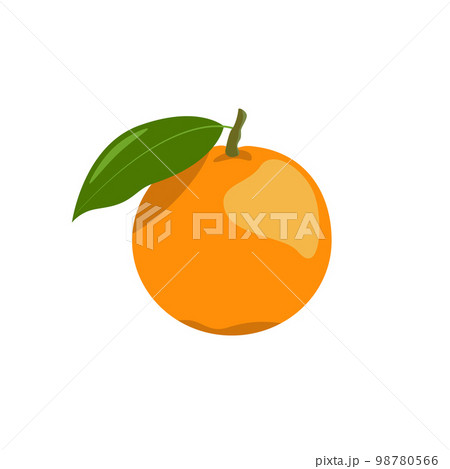 The one isolated flat freshness orange in oranges colors 98780566