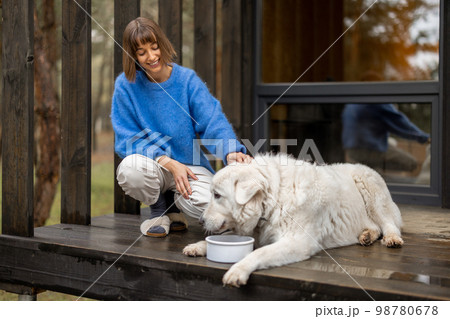 Young woman feeds her cute white dog on porch of a house 98780678