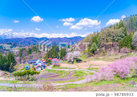 【春素材】春の絶景・小川村番所の桜【長野県】 98780933