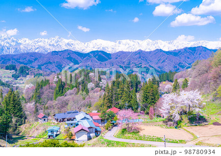 【春素材】春の絶景・小川村番所の桜【長野県】 98780934