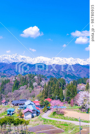【春素材】春の絶景・小川村番所の桜【長野県】 98780935