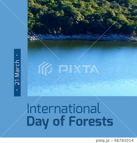 Composition of international day of forests text and trees Composition of international day of forests text and trees 98783014