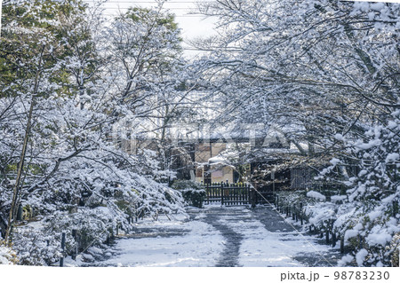 京都嵐山・二尊院　紅葉の馬場の雪景色 98783230