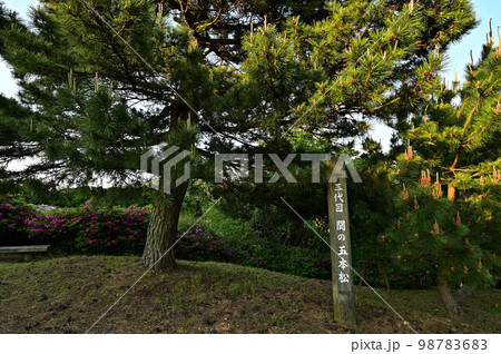 五本松公園より 五本松公園より 98783683