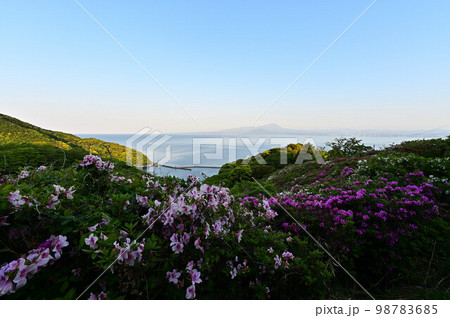 五本松公園からの大山とツツジ 98783685