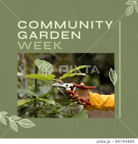 Composition of community garden week text over hand of african american boy cutting plant Composition of community garden week text over hand of african american boy cutting plant 98784889
