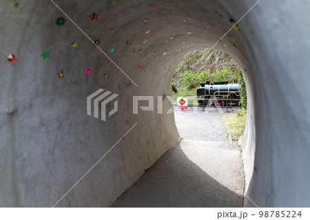 小田原　城址公園こども遊園地　豆汽車　神奈川県　小田原市　小田原城 98785224