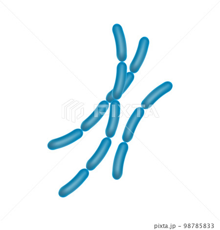 Viruses, germs and bacteria, microorganism types. Illness or disease microscopic cells and infection, microbes and antibodies. Viruses, germs and bacteria, microorganism types. Illness or disease microscopic cells and infection, microbes and antibodies. 98785833