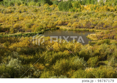 USA, Idaho, Sun Valley, Beaver ponds in fall  98787179