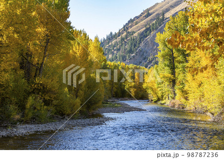 USA, Idaho, Hailey, Big Wood river in fall USA, Idaho, Hailey, Big Wood river in fall 98787236