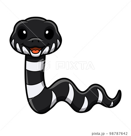 Cute mangrove snake cartoon (boiga dendrophila) Cute mangrove snake cartoon (boiga dendrophila) 98787642