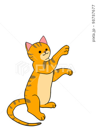 何かをつかもうとしているキジ猫 98787677