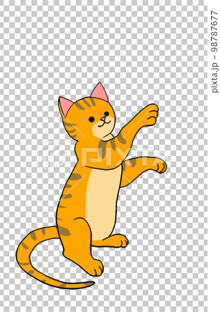 何かをつかもうとしているキジ猫 98787677