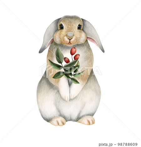 Watercolor fluffy rabbit holding leaves and berries illustration, cute bunny animal drawing isolated on a white 98788609