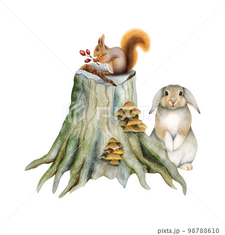 Cute woodland animals standing on stump with mushrooms. Watercolor illustration with forest rabbit and squirrel Cute woodland animals standing on stump with mushrooms. Watercolor illustration with forest rabbit and squirrel 98788610