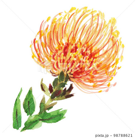 pincushion23201pix8 98788621