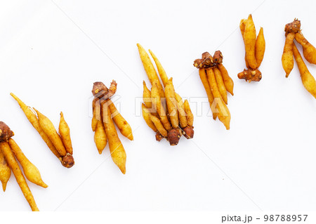 Fingerroot on a white background. 98788957