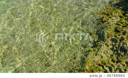 Clear sea water near the coast of Mallorca Clear sea water near the coast of Mallorca 98788960