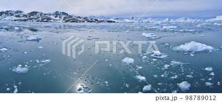 Drift floating Ice, Albert I Land, Norway 98789012