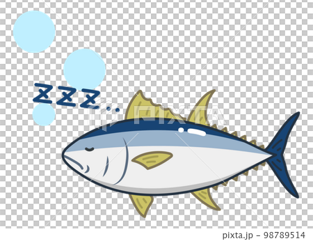 sleeping tuna 98789514