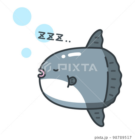 寝ているマンボウ 98789517