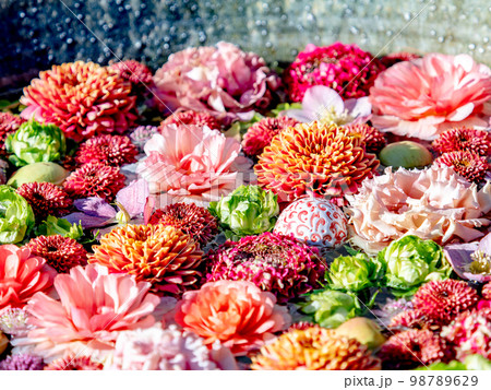 新春のカラフルで楽しい花手水 98789629