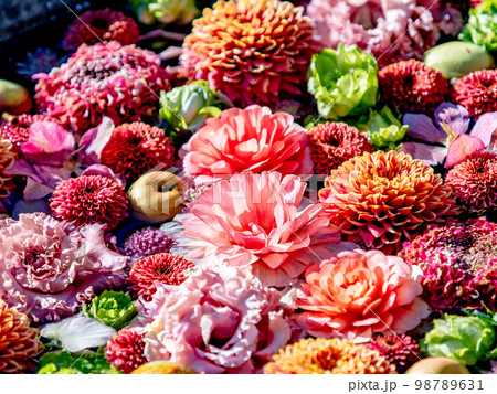 新春のカラフルで楽しい花手水 98789631