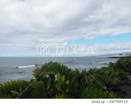 ハワイ島で過ごす極上リラックス時間 98790019