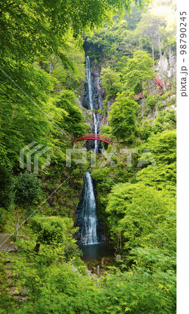 五宝滝（岐阜県八百津市） 98790245